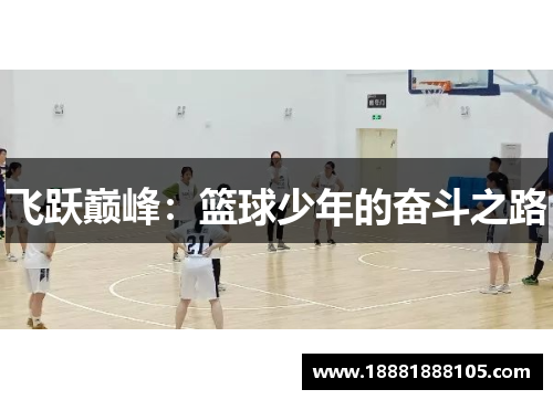飞跃巅峰：篮球少年的奋斗之路